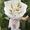 hoa tulip-tinhkhoi
